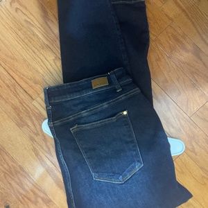 18w Judy Blue Jeans